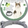 Teken- En Vlooienband Voor Katten PLUS - Natuurlijk Middel Tegen Vlooien En Teken - 100% Natuurlijk - 38,5 CM - Tot 8 Maand Werkzaam - Biologisch 1 Teken- En Vlooienband Voor Katten PLUS - Natuurlijk Middel Tegen Vlooien En Teken - 100% Natuurlijk - 38,5 CM - Tot 8 Maand Werkzaam - Biologisch -Kattenbenodigdheden 819x1200