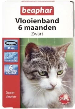 Kattenbenodigdheden -Kattenbenodigdheden 823x1200 1