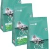Purina One Indoor Formula Kalkoen - Kattenvoer - 3 X 1.5 Kg 2 Purina One Indoor Formula Kalkoen - Kattenvoer - 3 X 1.5 Kg -Kattenbenodigdheden 831x1200