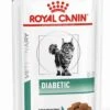 Royal Canin Diabetic Kat Natvoer 12x85 G 2 Royal Canin Diabetic Kat Natvoer 12x85 G -Kattenbenodigdheden 861x1200 1