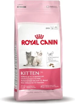 Royal Canin Kitten - Kittenvoer - 4 Kg -Kattenbenodigdheden 867x1200