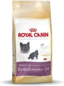 Royal Canin British Shorthair Adult - Kattenvoer - 4 Kg 22 Royal Canin British Shorthair Adult - Kattenvoer - 4 Kg -Kattenbenodigdheden 893x1200 2