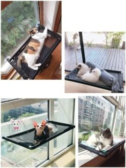 Kattenhangmat - Hangmat Kat- Kattenhangmat Raam – Kattenbed - Kattenhangmand - Kattenkussen 28 Kattenhangmat - Hangmat Kat- Kattenhangmat Raam – Kattenbed - Kattenhangmand - Kattenkussen -Kattenbenodigdheden 896x1200 1