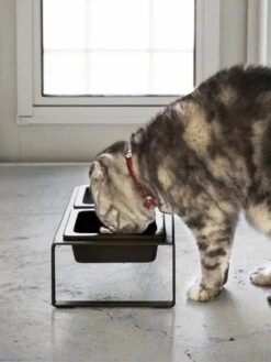 Yamazaki Eetbak - Voederbak Kat - Tweeledig - Zwart -Kattenbenodigdheden 901x1200 3