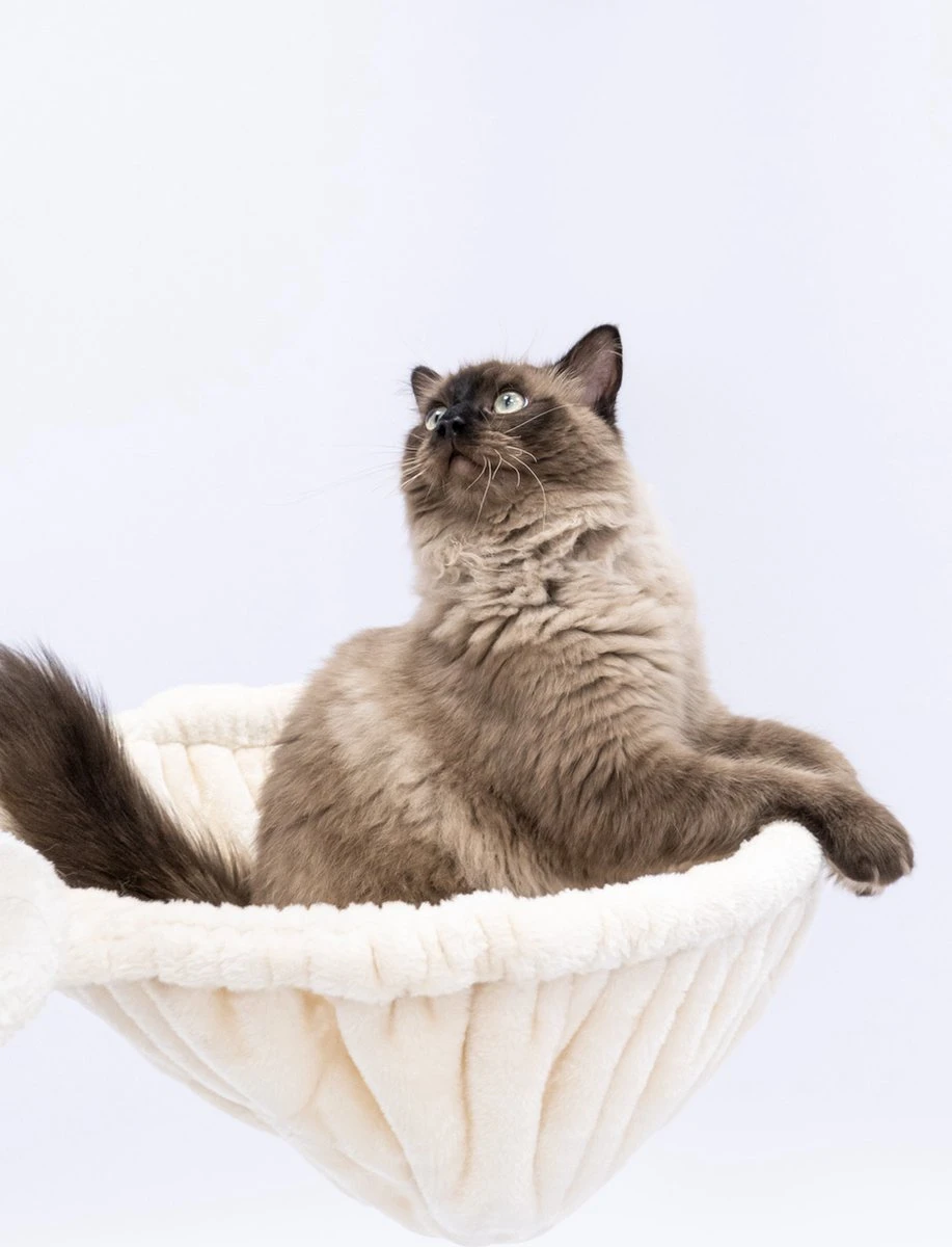 Petrebels Catharina 160 Krabpaal - Creme - 2 Hangmatten - Grote Katten 8 Petrebels Catharina 160 Krabpaal - Creme - 2 Hangmatten - Grote Katten - Afbeelding 6