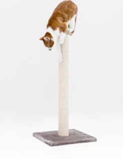 Petrebels Maine 90 Krabpaal - Cappuccino - 40 X 40 X 90 Cm - Extra Stabiel -Kattenbenodigdheden 927x1200 2