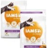 Iams Cat Kitten Kip - Kattenvoer - 2 X 3 Kg 2 Iams Cat Kitten Kip - Kattenvoer - 2 X 3 Kg -Kattenbenodigdheden 955x1200