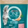 PURINA ONE Katten Droogvoer Met Zalm En Volle Granen, Adult, 900 G 1 PURINA ONE Katten Droogvoer Met Zalm En Volle Granen, Adult, 900 G -Kattenbenodigdheden 960x1200 2
