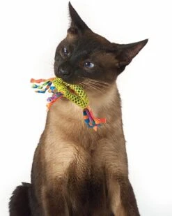 Petstages Dental Health Chew Kattenspeelgoed - Catnip -Kattenbenodigdheden 960x1200 20