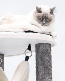 Petrebels Catharina 160 Krabpaal - Creme - 2 Hangmatten - Grote Katten 14 Petrebels Catharina 160 Krabpaal - Creme - 2 Hangmatten - Grote Katten -Kattenbenodigdheden 961x1200 1