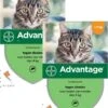 Bayer Advantage 40 Kat 4 Pip - Anti Vlooienmiddel - 2 X 0.4 Ml - 0 - 4 Kg -Kattenbenodigdheden 965x1200