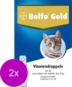 Bolfo Gold Kat 40 - Anti Vlooienmiddel - 2 X 4 Stuks 0 - 4 Kg 8 Bolfo Gold Kat 40 - Anti Vlooienmiddel - 2 X 4 Stuks 0 - 4 Kg -Kattenbenodigdheden 996x1200 2
